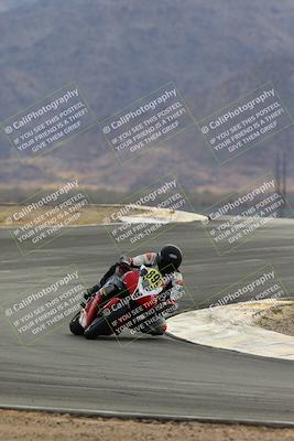 media/Feb-08-2025-CVMA (Sat) [[fcc6d2831a]]/Race 9-Amateur Supersport Middleweight/